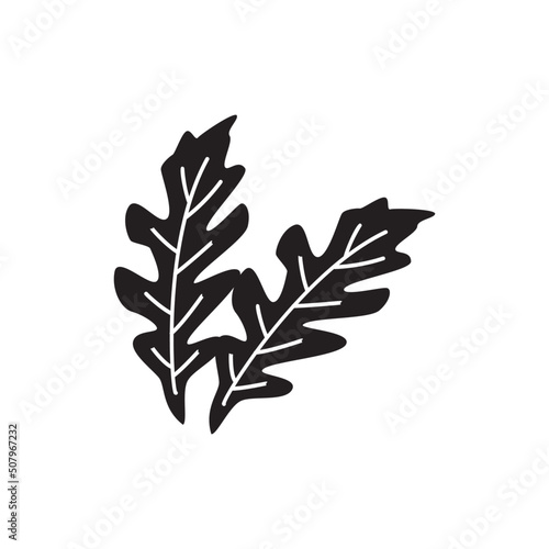 Arugula icon in black flat glyph, filled style isolated on white background
