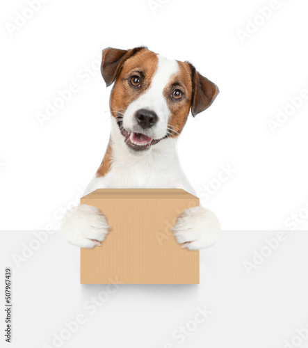 Jack russell terrier puppy holds big box above empty white banner. isolated on white background