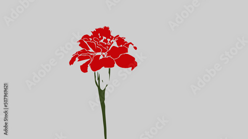 red poppy flower line art design photo