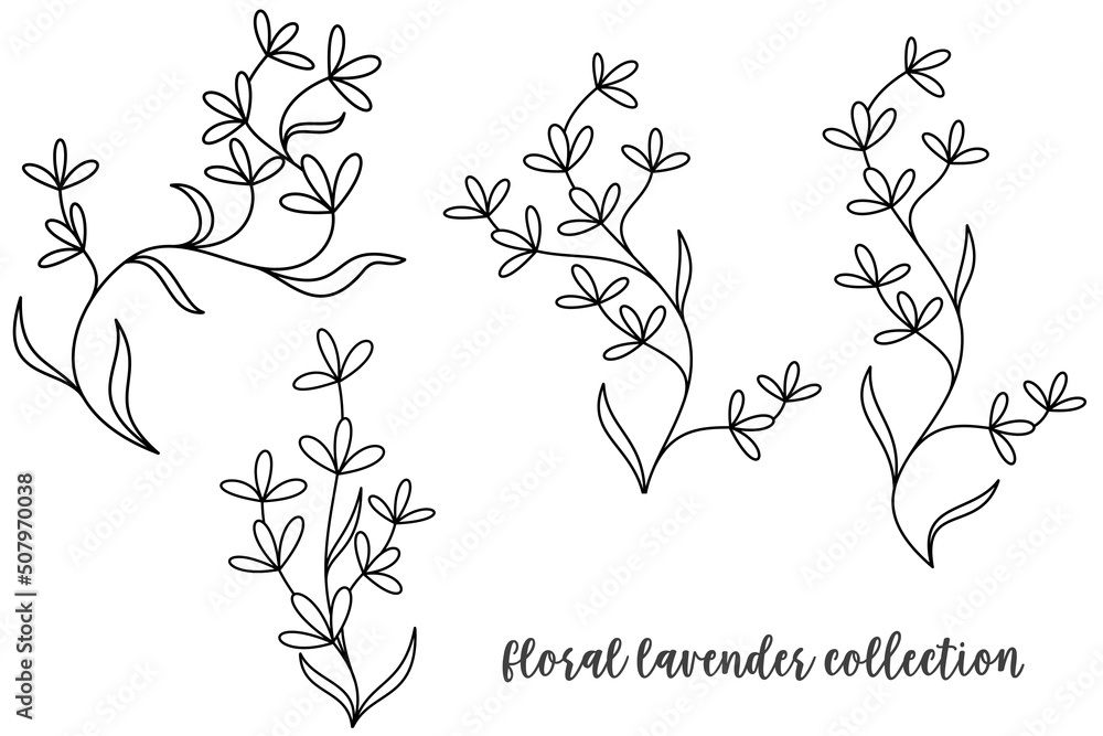 Fototapeta premium 4 of floral lavender collection on white