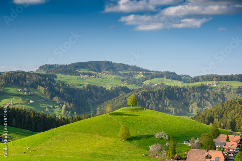 hills of Emmental in early summer photo