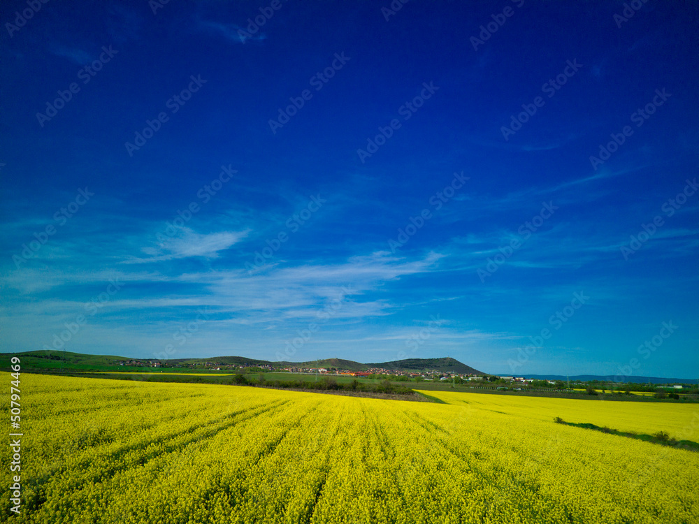Fields with a plant in a valley against the background of the village and the sky in Bulgaria