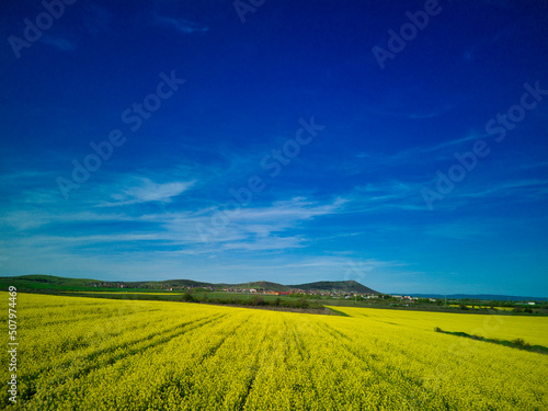 Fields with a plant in a valley against the background of the village and the sky in Bulgaria