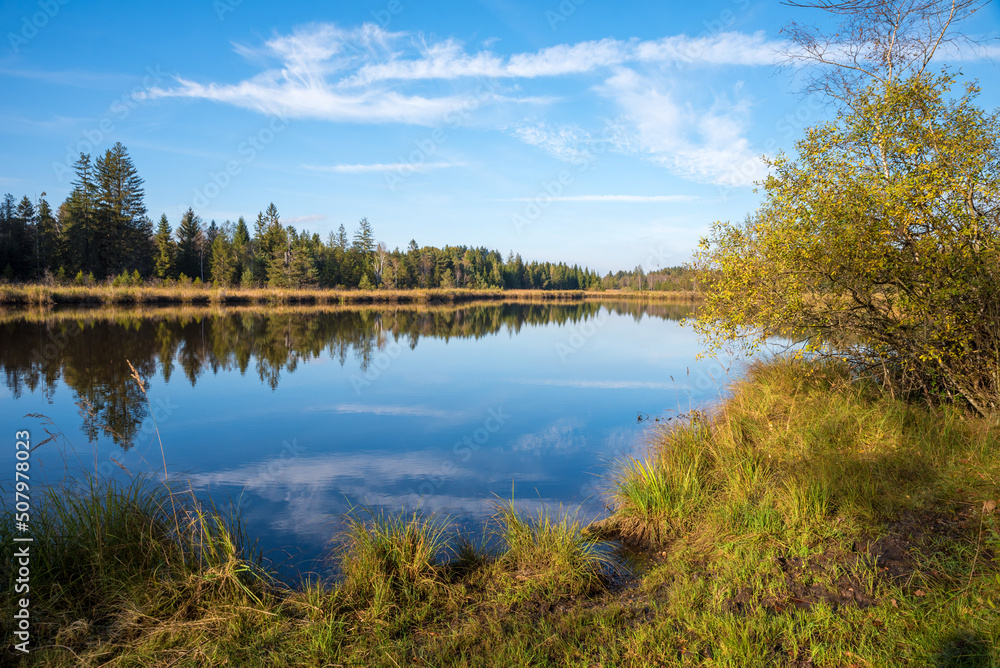 idyllic moor lake Mooshamer Weiher, autumn landscape