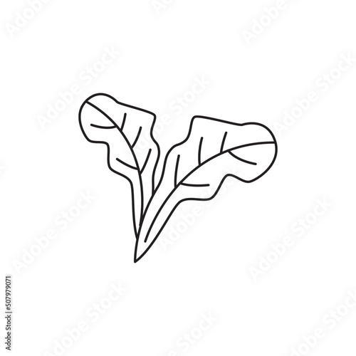 Arugula icon in black flat glyph, filled style isolated on white background