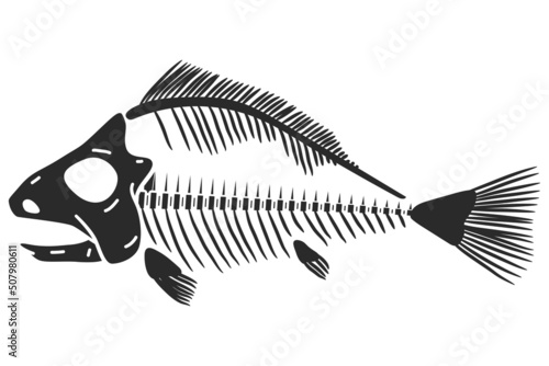 Fish skeleton vector illustration isolated on a white background.