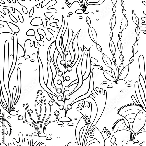 Seaweed in a line style. Seamless vector pattern on a white background. The print is great for textiles and wallpapers.