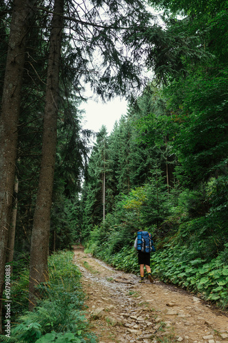 Male hiker with a backpack goes to the mountains on a trail in the woods, back view