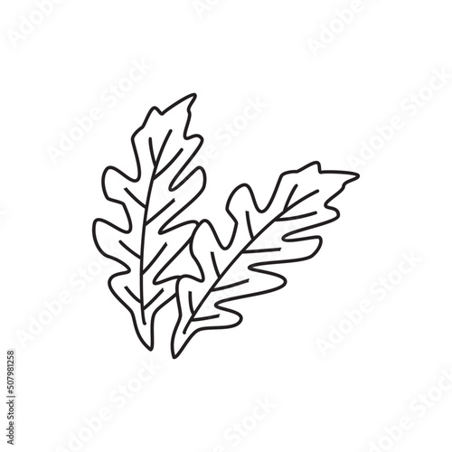 Arugula icon in line style icon, isolated on white background