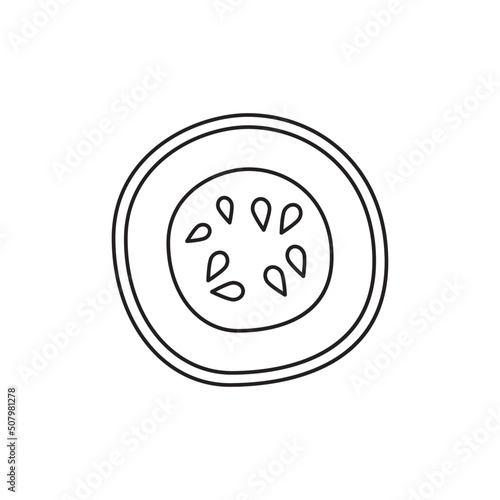 Cucumber, cucumis sativus icon in line style icon, isolated on white background