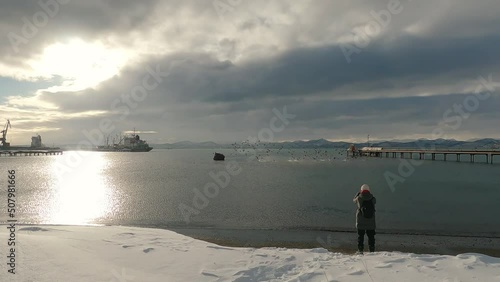 Bay in Petropavlovsk-Kamchatsky in winter. View of the small port in the evening. Wild ducks take off. The man is trying to photograph this moment. Kamchatka. Russia. Pacific Ocean. photo