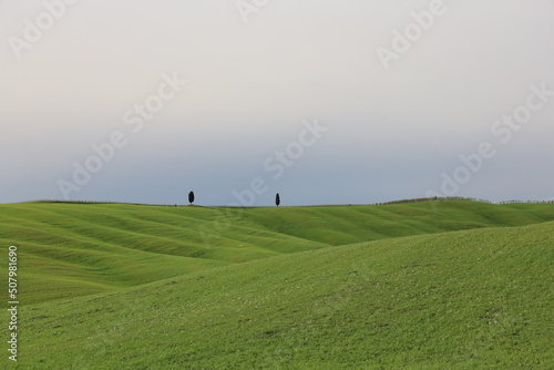 Obraz na płótnie cipress tuscany w salonie