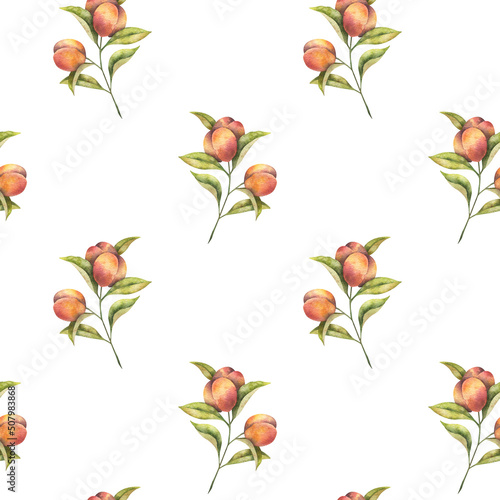 Seamless watercolor pattern with juicy peaches on branches with leaves on white background. Botanical simple design with useful fruits for fabrics  textile  wallpaper  scrapbooking paper. 