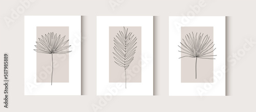 Botanical wall art. Vector Dried Sun Fan Palms. Small Pampas Grass. Bohemian dry cream flowers. Dried flower bunches. Modern line art set.