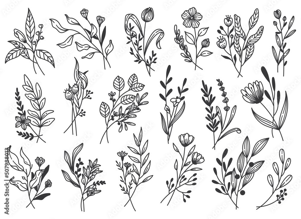 Set of Plants Doodle Design Element, Leaves and Flower Line Art Vector Illustration Set of Plants Doodle Design Element, Leaves and Flower Line Art Vector Illustration