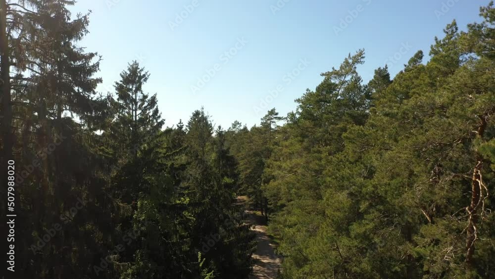 Aerial view of the forest in the Curonian Spit Aerial view of the forest in the Curonian Spit