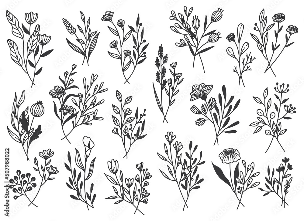Set of Plants Doodle Design Element, Leaves and Flower Line Art Vector Illustration Set of Plants Doodle Design Element, Leaves and Flower Line Art Vector Illustration