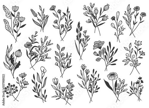 Set of Plants Doodle Design Element, Leaves and Flower Line Art Vector Illustration