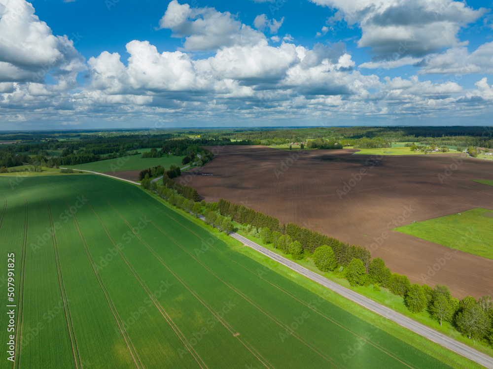 Beautiful view from the air on a colorful rapeseed field in spring with a road in Latvia Beautiful view from the air on a colorful rapeseed field in spring with a road in Latvia