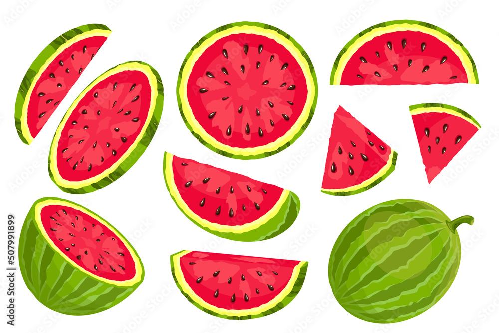 A set of ripe watermelons. A whole watermelon, slices. Fresh watermelon for summer design. A set of ripe watermelons. A whole watermelon, slices. Fresh watermelon for summer design.