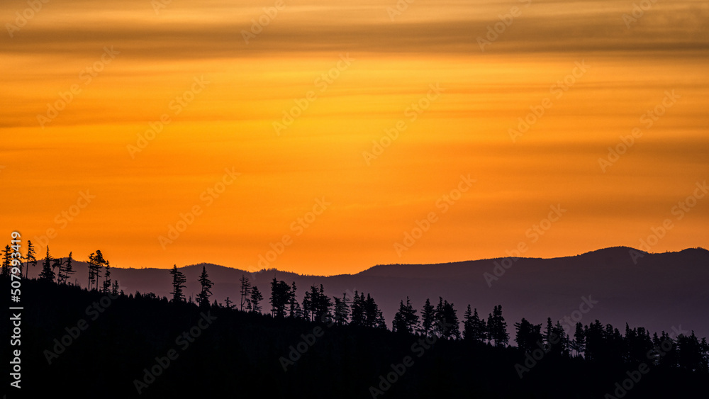 Trees silhouettes in the mountains against the sunrise. The Tatra Mountains, Slovakia.