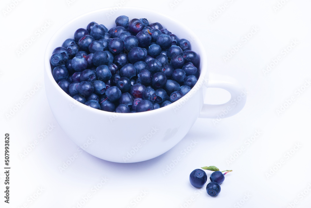 White plate with blueberries and separately three berry White plate with blueberries and separately three berry