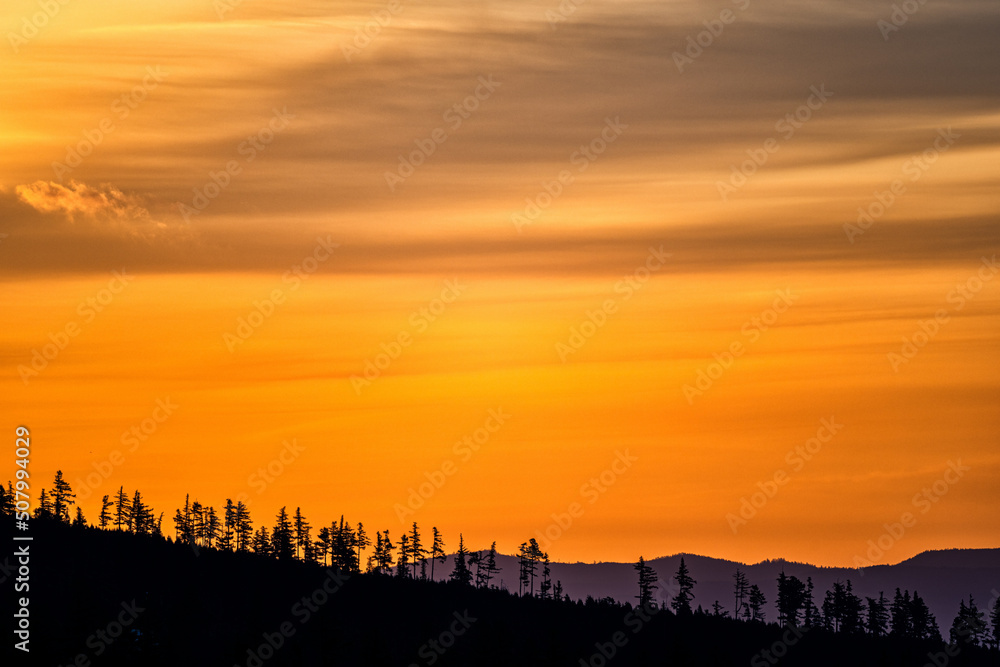 Obraz premium Trees silhouettes in the mountains against the sunrise. The Tatra Mountains, Slovakia.