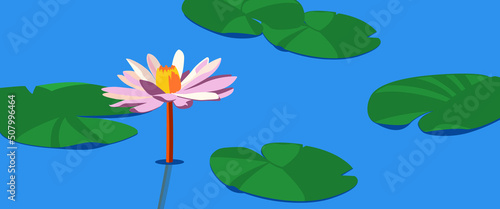 Beautiful pink lotus flower among green lotus leaves. Pond with leaves and flower nature.
