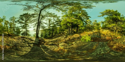 Rainy Sunset in the woods at Harold's Point in Killbear Provincial Park photo