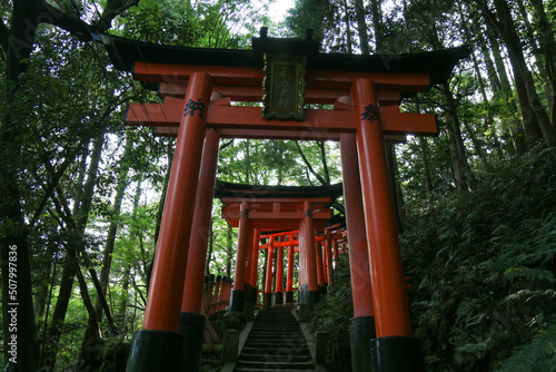 tori, portail des temples japonais