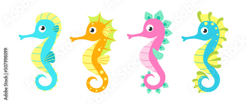 Set of multicolored seahorses in cartoon style. Vector illustration of charming characters aquarium seahorses with bubbles around.