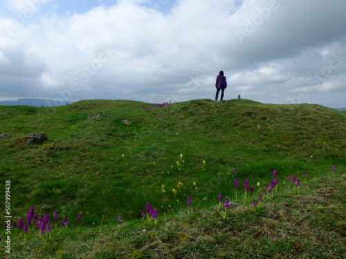 Motte de BRION - Cézallier photo