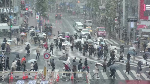 Wallpaper Mural SHIBUYA, TOKYO, JAPAN - 6 JAN 2022 : Winter snow scenery around Shibuya crossing and station. Crowd of people at the street. Japanese urban city winter season and Christmas concept. Slow motion video. Torontodigital.ca
