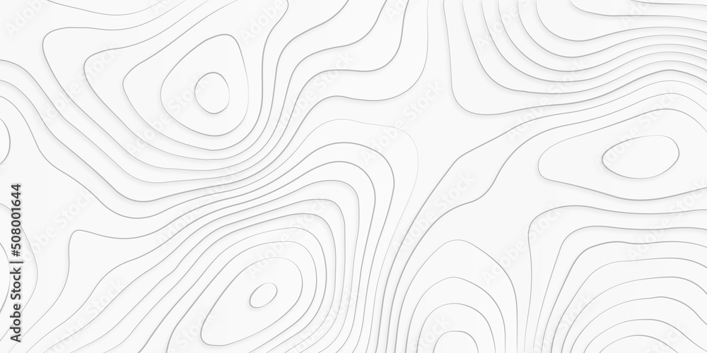 Topographic background and texture, monochrome image. 3D waves. Cartography Background, White wave paper curved reliefs abstract background.	