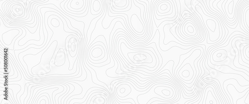 Topographic background and texture, monochrome image. 3D waves. Cartography Background, White wave paper curved reliefs abstract background.	