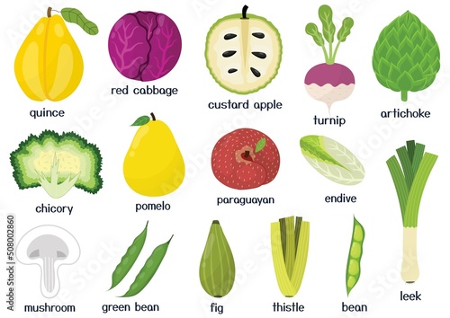 Fruits and vegetables set. Collection of healthy food isolated elements in cartoon style. Great for recipes, cookbook and vegan prints. Vector illustration