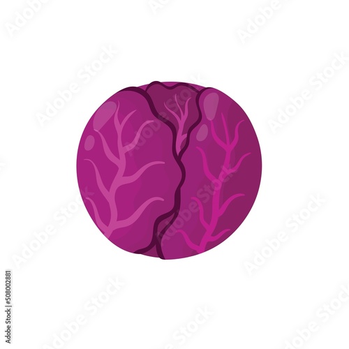 Fresh red cabbage in cartoon style isolated element. Healthy food print for farm market menu and recipes. Vector illustration