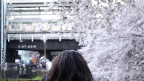 NAKAMEGURO, TOKYO, JAPAN - APRIL 2022 : View of Cherry blossoms at Meguro river and unidentified people enjoying the scenery. Japanese spring season concept video. Slow motion shot. photo