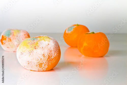 Fotografia A moldy orange isolated on a white background