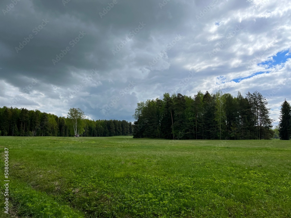 green field and forest background, cloudy sky green field and forest background, cloudy sky