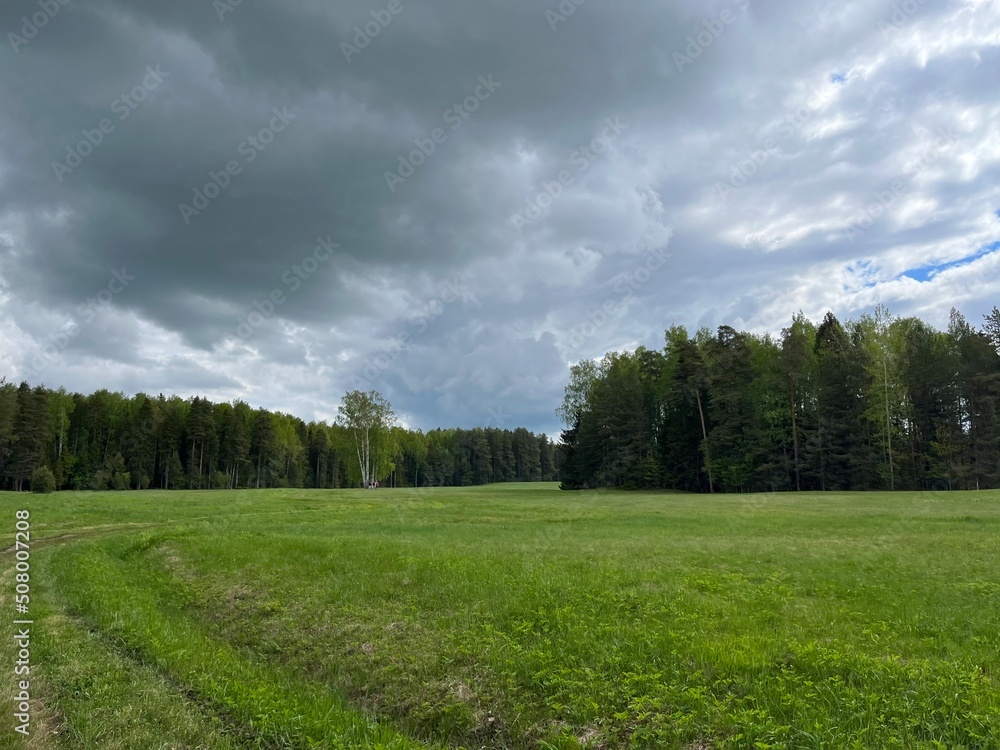 Obraz premium green field and forest background, cloudy sky