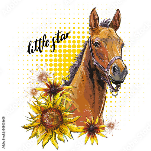 Portrait of a foal and flowers vector hand drawn illustration