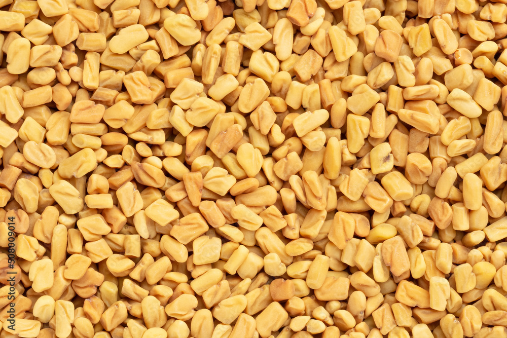 Fototapeta premium Background from spice Fenugreek. Macro. Flat lay. Vegetarian food concept