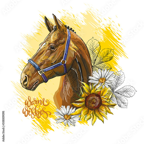 Portrait of a horse and flowers vector illustration on yellow