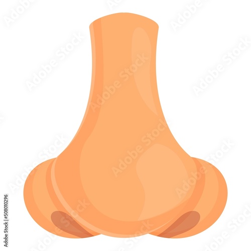Rhinoplasty icon cartoon vector. Nose surgery. Plastic bone