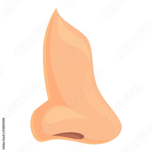 Anatomy rhinoplasty icon cartoon vector. Nose surgery. Plastic face