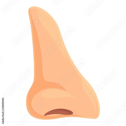 Rhinoplasty operation icon cartoon vector. Nose surgery. Plastic anatomy