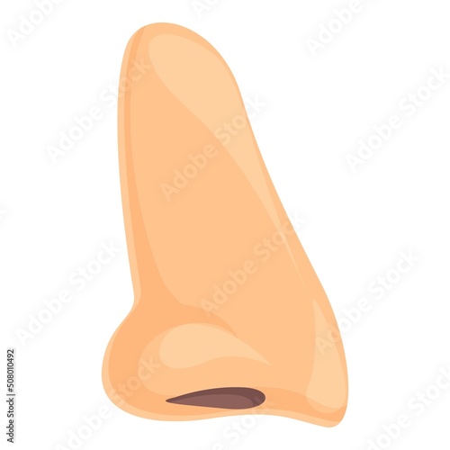 Rhinoplasty procedure icon cartoon vector. Nose surgery. Plastic anatomy