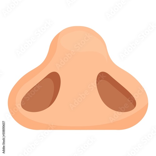 Beauty rhinoplasty icon cartoon vector. Nose surgery. Anatomy face