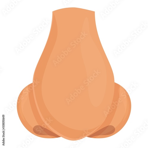 Inside rhinoplasty icon cartoon vector. Nose surgery. Nasal skin